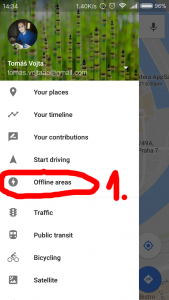 In settings click to Offline areas